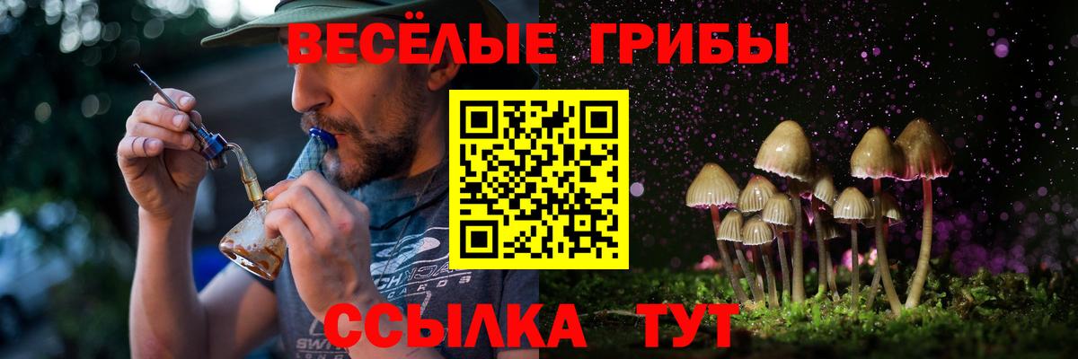 Псилоцибиновые грибы GOLDEN TEACHER Йошкар-Ола